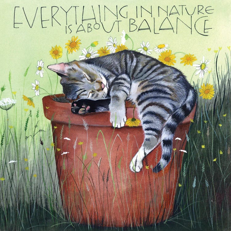 Everything In Nature Is About Balance - Sleepy Cat by Sam Cannon Art wall art