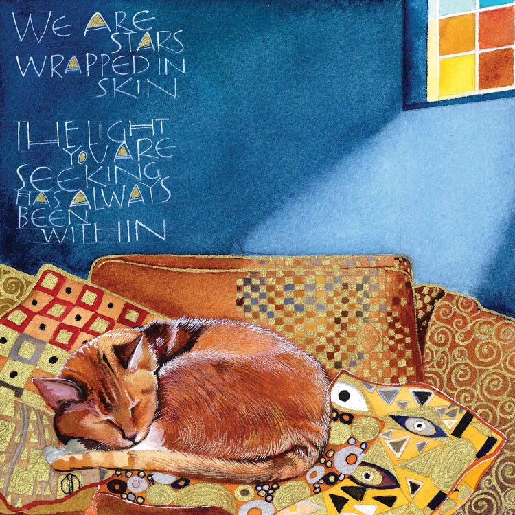 Stars Wrapped In Skin by Sam Cannon Art  canvas print