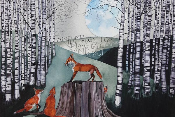 Foxes