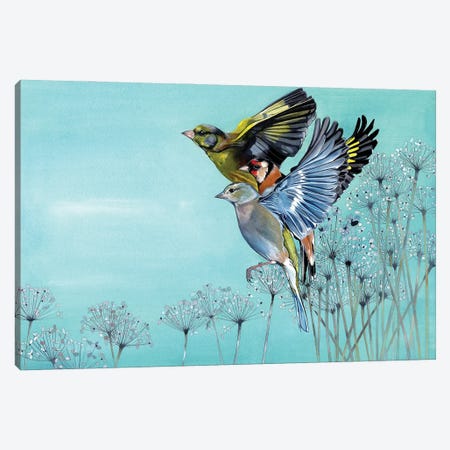 Finches And Garlic Chives Canvas Print #SCN17} by Sam Cannon Art Canvas Print