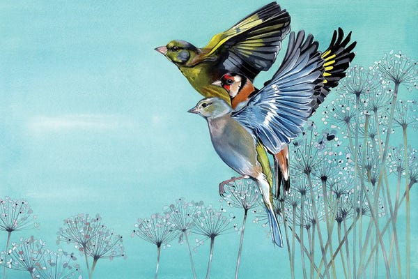Finches: Finches And Garlic Chives by Sam Cannon Art