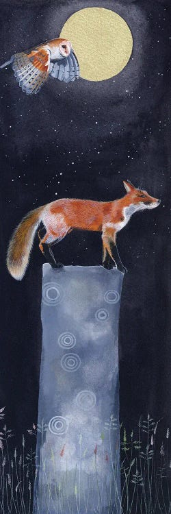 Fox IV by Sam Cannon Art wall art