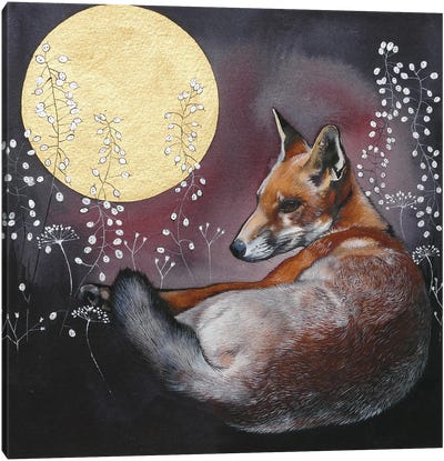 Freya Canvas Art Print - Fox Art