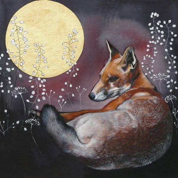 Foxes: Freya by Sam Cannon Art