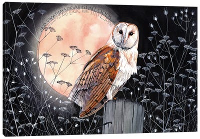 Hope Canvas Art Print - Owl Art