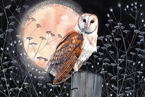 Sam Cannon Art