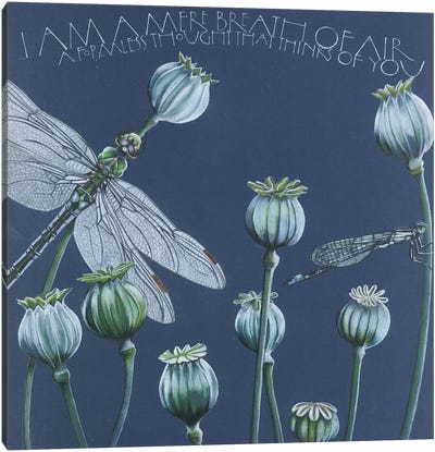 I Am A Mere Breath Of Air Canvas Art Print - Dragonfly Art