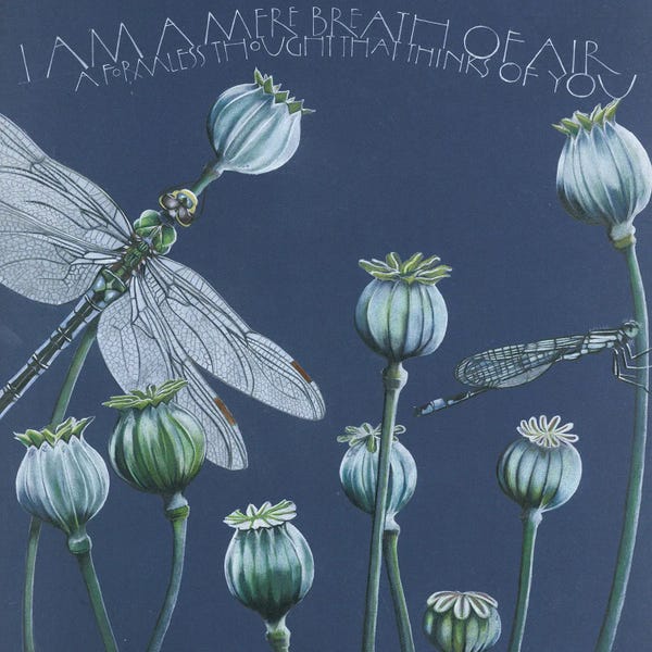 Dragonflies: I Am A Mere Breath Of Air by Sam Cannon Art