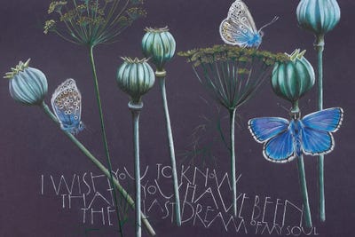 I Wish You To Know by Sam Cannon Art art print