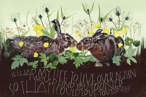 Rabbits: If I Had My Life To Llive Over Again by Sam Cannon Art