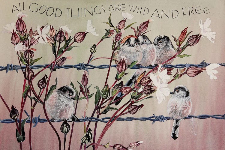 All Good Things Are Wild And Free