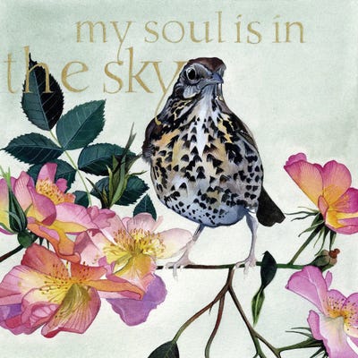 My Soul Is In The Sky by Sam Cannon Art art print