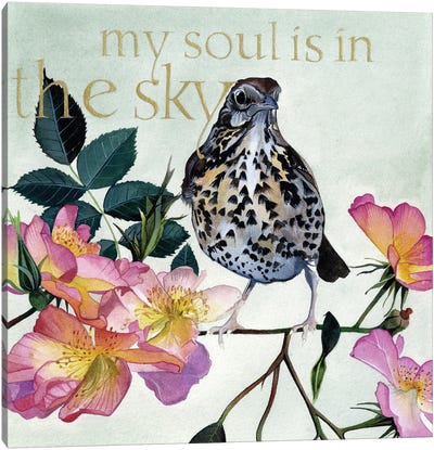 My Soul Is In The Sky Canvas Art Print - Sam Cannon Art