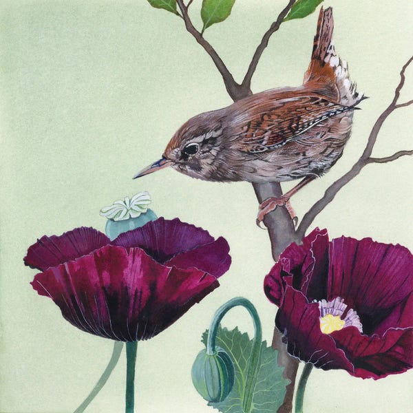 Folk Art: Poppies by Sam Cannon Art