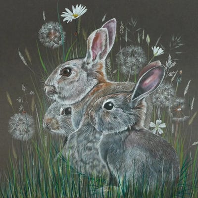 Rabbits by Sam Cannon Art art print