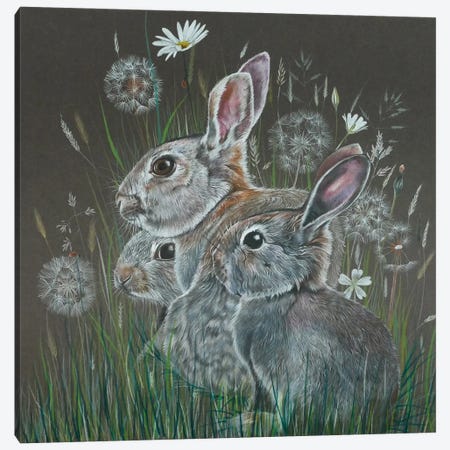 Rabbits Canvas Print #SCN50} by Sam Cannon Art Canvas Art