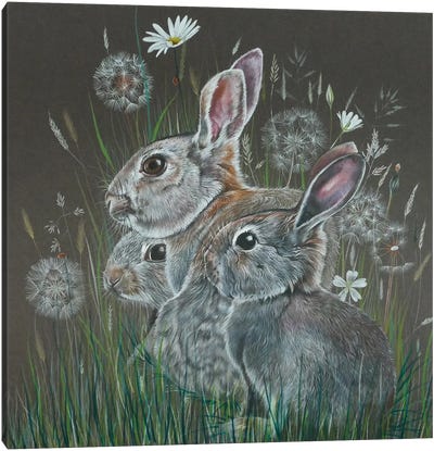 Rabbits Canvas Art Print - Dandelion Art