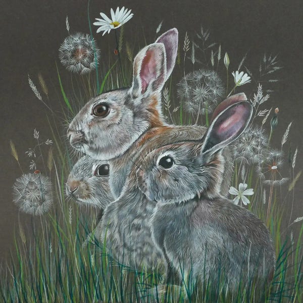 Dandelions: Rabbits by Sam Cannon Art
