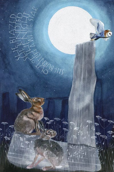 Rabbits: She Blazed by Sam Cannon Art