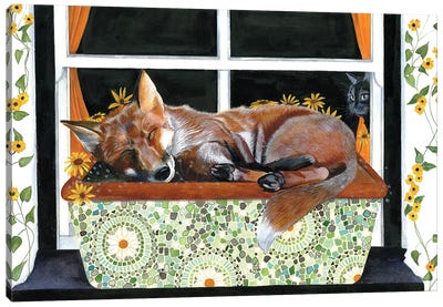 Sleeping Fox Canvas Art Print - Sam Cannon Art
