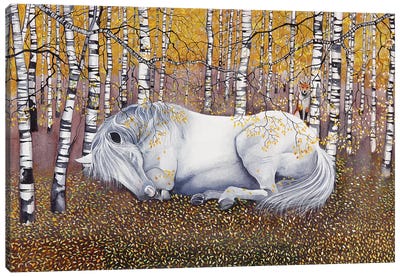 Sleeping Grey In The Silver Birch Canvas Art Print - Art Enthusiast
