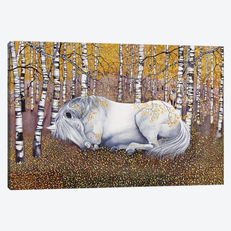 Sleeping Grey In The Silver Birch Canvas Print #SCN58} by Sam Cannon Art Canvas Art