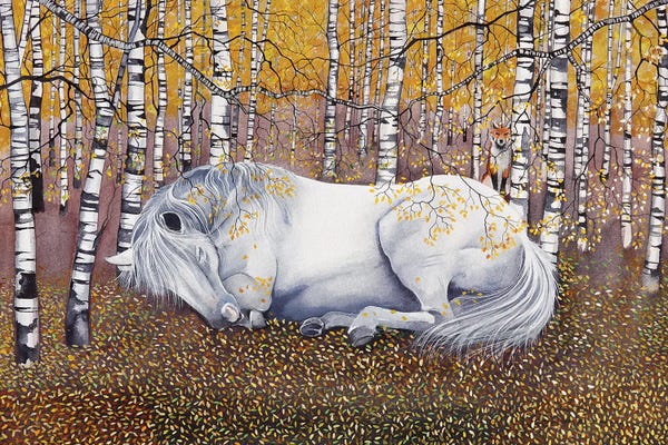 Sam Cannon Art: Sleeping Grey In The Silver Birch by Sam Cannon Art