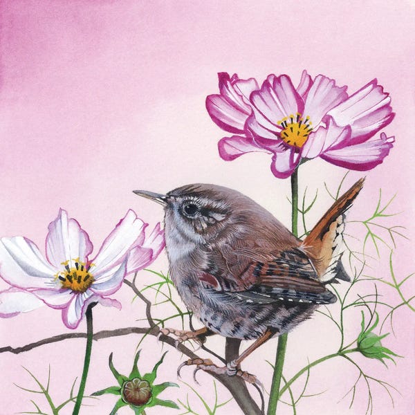 Folk Art: Cosmos by Sam Cannon Art