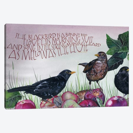 The Blackbird Is A Bonny Bird Canvas Print #SCN66} by Sam Cannon Art Canvas Artwork