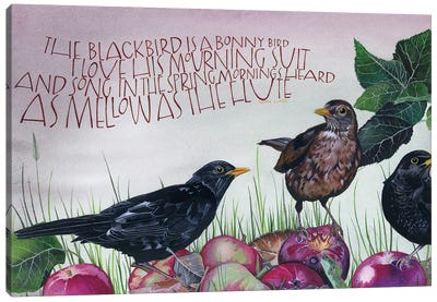 The Blackbird Is A Bonny Bird Canvas Art Print - Sam Cannon Art