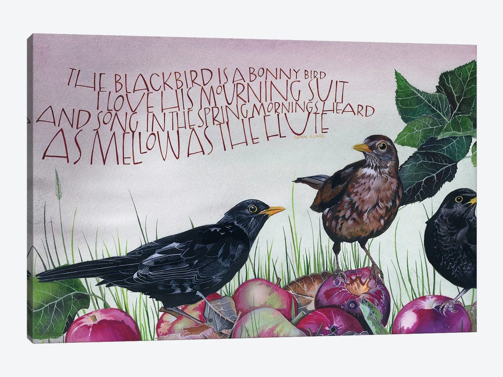 The Blackbird Is A Bonny Bird by Sam Cannon Art 1-piece Canvas Print