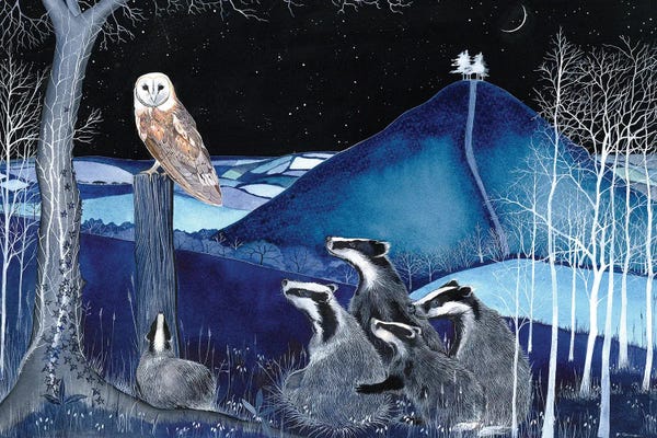 Badgers: The Owl - Colmers Hill by Sam Cannon Art