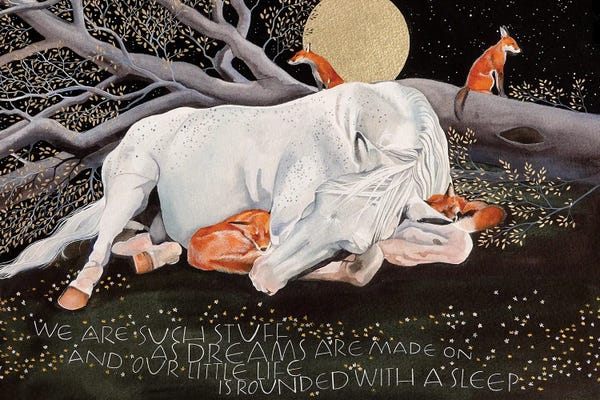 Foxes: We Are Such Stuff by Sam Cannon Art