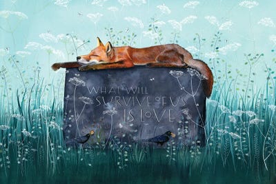 What Will Survive Of Us Is Love Fox Canvas Print Sam Cannon Art