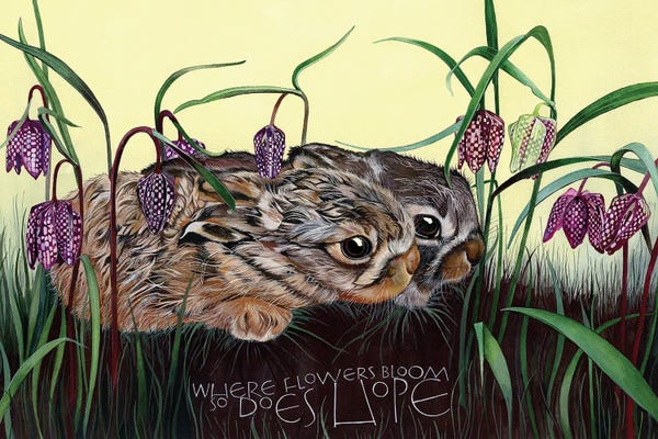 Bluebonnets: Where Flowers Bloom by Sam Cannon Art