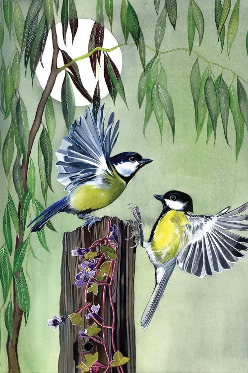 Great Tits In Flight by Sam Cannon Art wall art