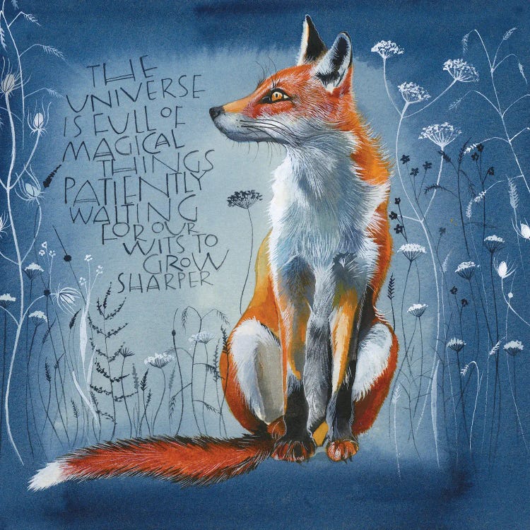 The Universe Is Full Of Magical Things by Sam Cannon Art wall art