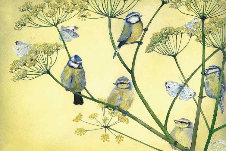 Bluetits And Butterflies by Sam Cannon Art wall art
