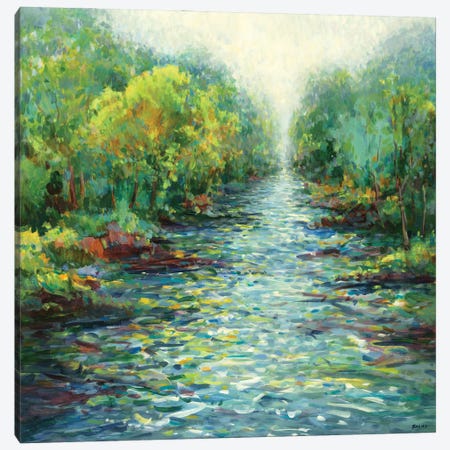 River Mist Canvas Print #SCT11} by Scott Brems Canvas Art