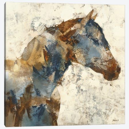 Horse Portrait Canvas Print #SCT17} by Scott Brems Canvas Art Print