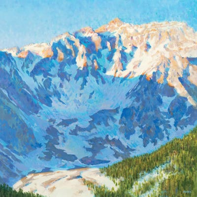 Shadow Play by Scott Brems metal wall art