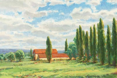 Summer Cinema by Scott Brems metal wall art