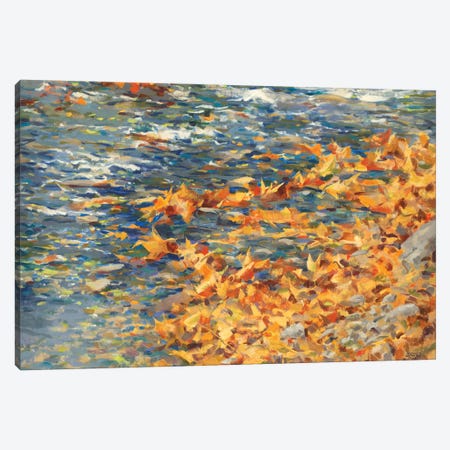 Autumn Creek Canvas Print #SCT7} by Scott Brems Canvas Print