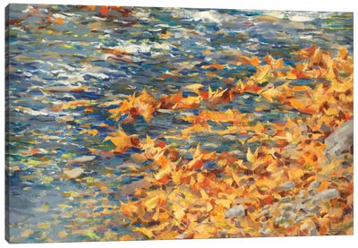 Autumn Creek Canvas Art Print