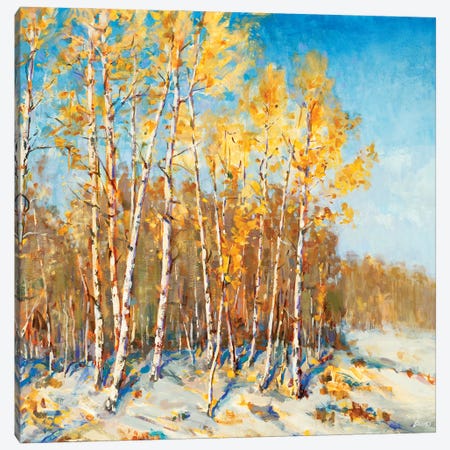Autumn Trees Canvas Print #SCT8} by Scott Brems Canvas Artwork