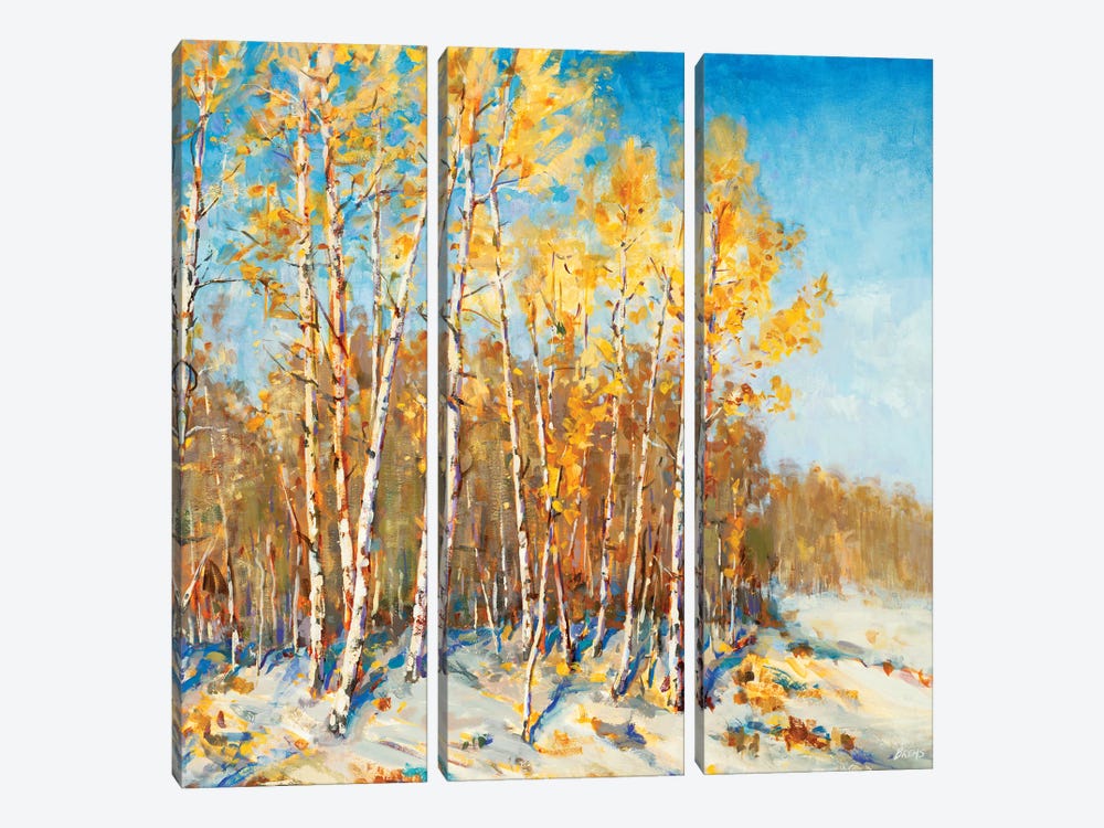 Autumn Trees by Scott Brems 3-piece Canvas Art Print