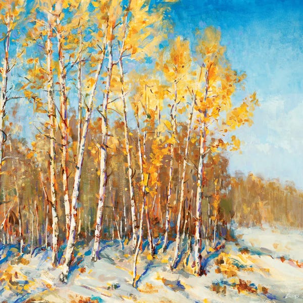 Aspen Trees: Autumn Trees by Scott Brems