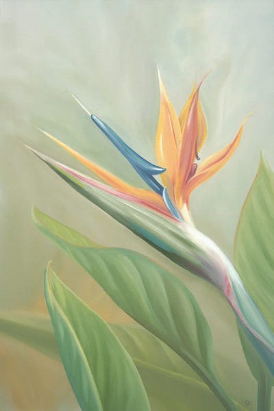 Hawaii: Searching For Paradise by Sarah Caudle