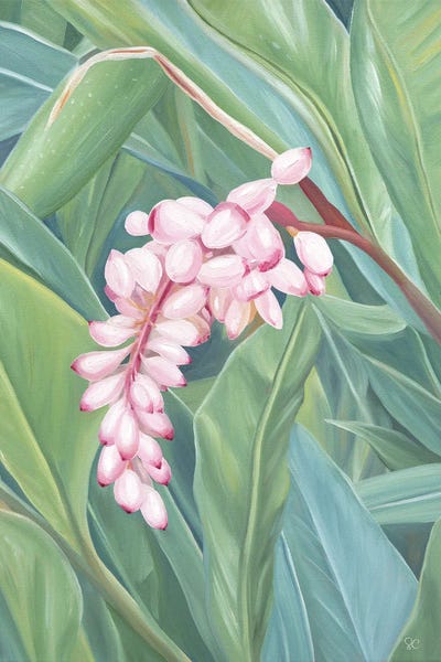 Hawaii: Shell Ginger by Sarah Caudle