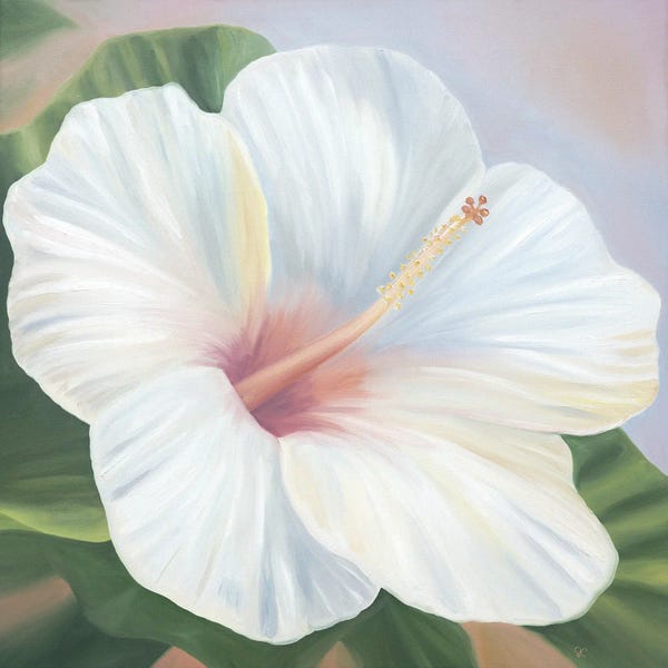 Hawaii: Smile Today by Sarah Caudle